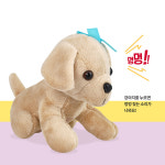 [캐스비] 마이펫동물병원 코코 소리나는 강아지 인형 유아 아기 어린이 장난감 동물 병원놀이 : 꼬꼴로