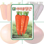 (다농,뉴코리아팜) 아라홍당근 4g 초기생육이 우수한 저온배대성이 양호한 당근 씨앗 : 뉴코리아팜