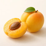 조향 향료 살구, 10ml, 1개 : 조향키트편집샵