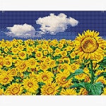 하늘 40x50 캔버스 푸른 들판 보석십자수 해바라기 ZWCFF253 : 도매도매24