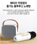 블루투스스피커마이크 휴대용 강의 캠핑 노래방 : 마이 엔돌핀