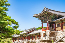 경주역사투어 불국사 석굴암 문화해설사 가이드 역사여행 경주가볼만한곳 : 경주트립