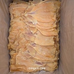 B082[몸통]마른오징어10kg, 안주 간식 진성푸드주식회사 바디오징어 몸통오징어 : 진성푸드 사생절단유통사업부