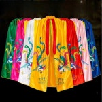 무당옷 점사복 점술 보살 점사 보살옷 망토 100cm 한복 노란색 점괘 수호신 무속인 레드 테두리 높이 0.8mX폭 1.2m : 플레닛업