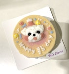 강아지 생일 케이크 반려견 미니 커스텀 수제 저알러지 단호박 고구마 : 펫스튜리petschurri