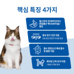 힐스 캣 고양이 주식캔 습식사료 어덜트 퍼펙트 다이제스천 치킨 스튜, 82g, 1개 : 3651