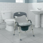 선일 목욕의자 겸 좌변기 안심의자 화장실 거실 요양원 : 메디칼존