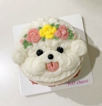 강아지 얼굴 케이크 생일 반려견 저알러지 미니 단호박 고구마 : 펫스튜리petschurri
