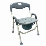 선일 목욕의자 겸 좌변기 안심의자 화장실 거실 요양원 : 메디칼존