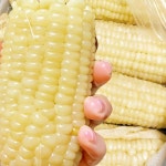 샤콤 프레시 농장 백찰옥수수 냉동 옥수수 : 월드와이드KMC