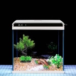 소형 낮은 어항 미니 수족관 사각형 유리 물고기 탱크 거실 두꺼운 사무실 책상 생태 작은 38x26x38cm : 초이스 트레이더스