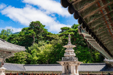 경주역사투어 불국사 석굴암 문화해설사 가이드 역사여행 경주가볼만한곳 : 경주트립