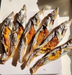 열빙어 강아지 고양이간식 칼슘  밥꾸템 밥꾸간식 : 곡식이네 수제간식