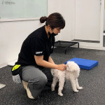 PK 기능성 쿨론 카라 반팔티 단체복 회사 식당 로고인쇄 주문제작 : 단체티마트