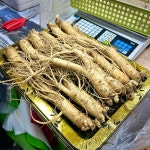 풍기인삼 6년근 선물세트 청년농부 수삼 750g 한채 도매시장 금산 강화 : 미르인삼사