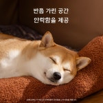 겨울 대형견 하우스 애견 따뜻한 사계절 애견하우스 반려동물 : 업소 도매 팩토리