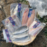 동광수산 동해  영덕 참 가자미 물 고등어 살  도루묵 반건조 생선 미주구리 꽃돔 조기 서대 생선모듬 : 동광수산