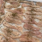 꼬꼬져키 (60g) : 밥멍냥 펫푸드