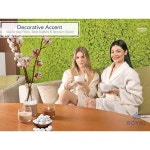 Royal Fish 수족관 장식 스톤 5LB 라지 화이트 1 LB Small Natural : 티온즈