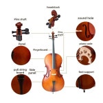 우수한 음질 첼로 초보자 연습용 현악기 - 풍부한 공명 어쿠스틱 현악기 : 골든110