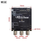 WEGE ZK-1002Q 퀄컴 QCC3034TPA3116 BT 디지털 앰프 보드 2.0 채널 APTX 무손실 100Wx2 : 판다다01