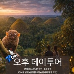 보홀 오후 육상투어 체크아웃투어 안경원숭이 초콜릿힐 ICM몰 반딧불 공항드랍 아동 : 투어모먼트