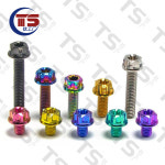 TS 10pcs 공장 Gr5 티타늄 나사 M5M6X810152025303540mm 오토바이 수정 나사 : 골든106