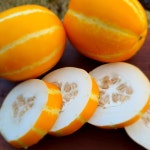 성주참외 꼬마참외 5kg (25~35과) : 별고을참외농장