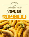 국내산 신안 섬 바나나 바나나 프리미엄 영은이네 친환경 무농약10kg 10kg, 1개 : 영은이네국내산바나나