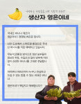 국내산 신안 섬 바나나 바나나 프리미엄 영은이네 친환경 무농약10kg 10kg, 1개 : 영은이네국내산바나나