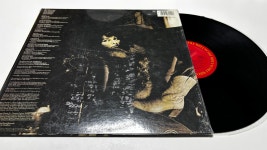 알 디 메올라 Al Di Meola – Scenario LP / J0272 : 니어민트