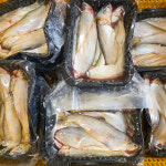 제철 국산 밴댕이 구이용 500g : 나라수산