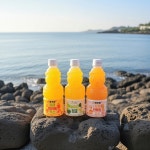 감귤주스 한라봉 천혜향 청귤 착즙 쥬스 주스 330ml : 빛나장터