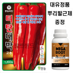 2026년 티탄대박 1200립 고추 고추씨 종자 씨앗 팜한농 흥농 : 팜트랜드