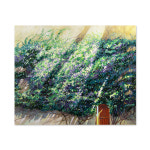 양지의 시간17(Sunny time17), 임은정 작가 : 퍼블릭 갤러리