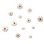 자개 데이지 꽃 비즈 팔찌 목걸이 선물 키링 DIY 재료 : 비즈앤키링