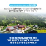 6년근 금산 홍삼액 하루한포 홍삼파우치 진한 홍삼즙 거래처선물 20포 : 메디라움코리아