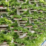 무토양 재배 채소 장비 실내  실외 수경 선반 자동 온실 묘목실 : 케이스전문판매몰