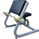 암컬머신 팔운동 알통 이두컬 홈트 암컬렉 헬스장 이두근 : 바로샵-