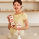 (6팩) 테라에판 무가당두유 무첨가두유 유기농 소이밀크 1L : oakstreet