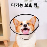 엘리자 스타일 강아지 시바 비숑 중형 강아지용 용품 중성화된 목걸이 반려동물 테디 소형 : 토탈이즈