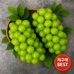 고당도 샤인머스켓 (하우스/특품) : 신선 백화점