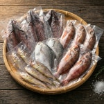 어촌의 달인 설날 명절 완도 활전복 반건조생선 건어물 선물세트 : 어촌의 달인