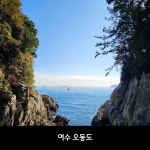 [순천출발] 여수 당일치기 오동도 해상케이블카 여수밤바다 핵심코스 시티투어 알뜰 투어 : 뉴수정여행