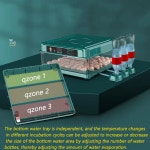 16/24/30 부화기 계란 인큐베이터 닭 DuckGoose 자동 터너 전기 장비 부화장 가금류 농장 도구에 대한 완전 : 원셀렉트Oneselect