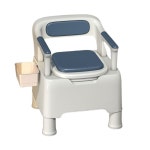 간이화장실 캠핑용 휴대용 어르신 가정용 이동식 간이 실내 화장실 : 빛나는 스노볼