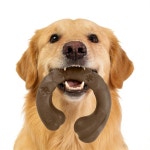 공격적인 츄어 베이컨 향 곡선형 나일론 뼈를 위한 펀바이트 터프 도그 토이로 중 대형 품종을 바쁘고 내구성 있는 츄 토이 25 80파운드... 