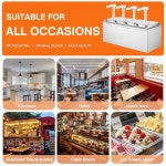 2 11 쿼트 스테인리스 소스 펌프 디스펜서 방지 및 시럽 조미료 사용 스테이션 상업용  1L 1 Head : 해직타