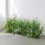 나뭇잎 조경 장식 꾸미기 대형 야외 조형물 포토존 카페 타입 식물 : 차이나포스트