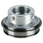 INA 외부 구면 링 딥 그루브 링 립 씰 볼 링 RAE20-XL-NPP-NR RAE25-XL-NPP-NR RAE30-XL-NPP-NR RAE20-XL-NPP-NR : 레이첼2